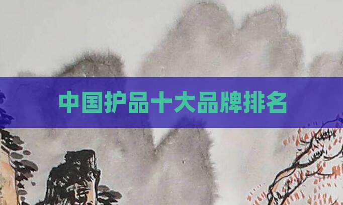 中国护品十大品牌排名
