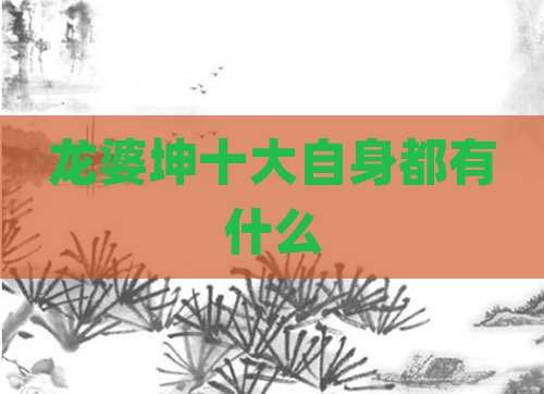 龙婆坤十大自身都有什么