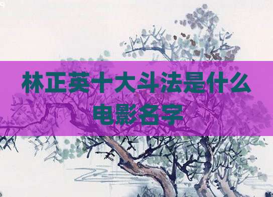 林正英十大斗法是什么电影名字