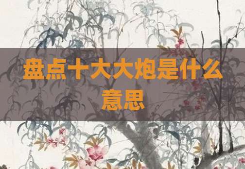 盘点十大大炮是什么意思