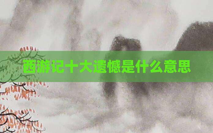 西游记十大遗憾是什么意思