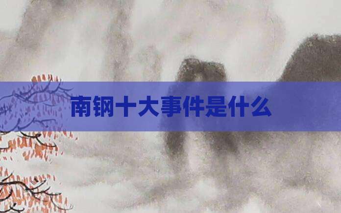 南钢十大事件是什么
