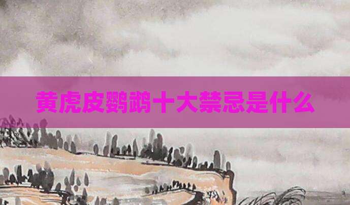 黄虎皮鹦鹉十大禁忌是什么