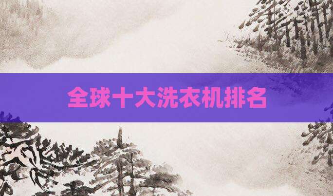 全球十大洗衣机排名