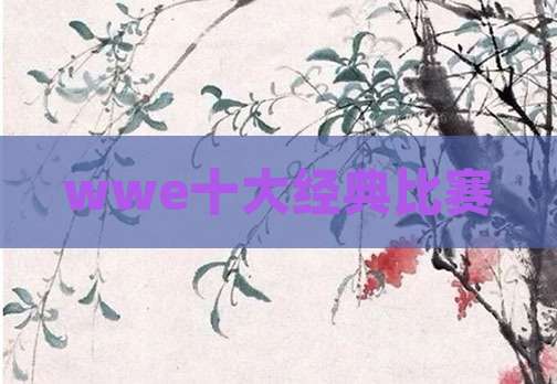 wwe十大经典比赛