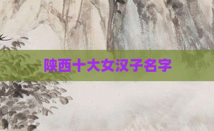 陕西十大女汉子名字