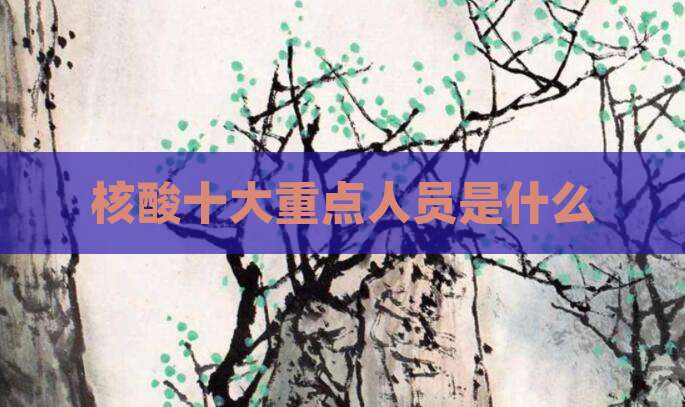 核酸十大重点人员是什么