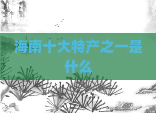 海南十大特产之一是什么