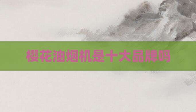 樱花油烟机是十大品牌吗
