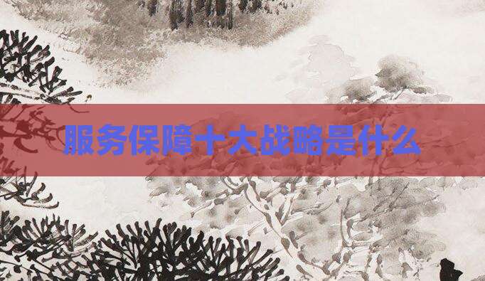服务保障十大战略是什么