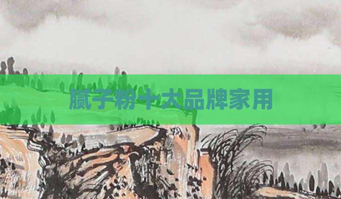 腻子粉十大品牌家用