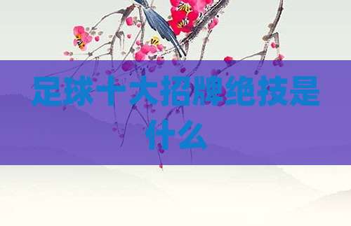 足球十大招牌绝技是什么