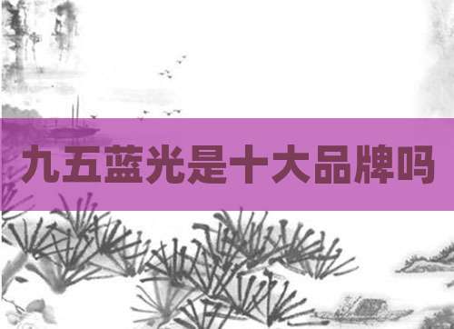 九五蓝光是十大品牌吗