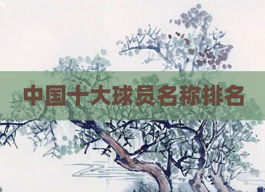 中国十大球员名称排名