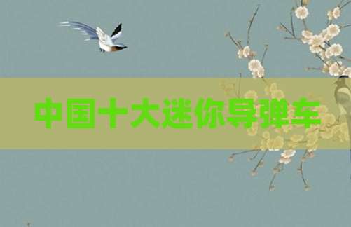中国十大迷你导弹车
