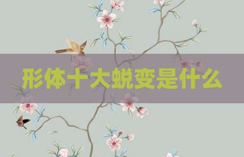 形体十大蜕变是什么