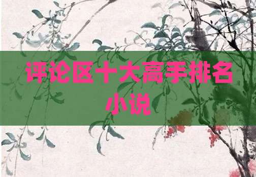 评论区十大高手排名小说