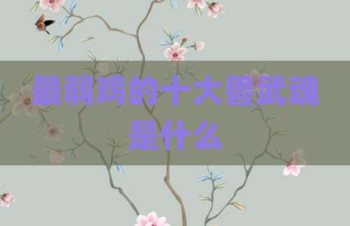 最弱鸡的十大兽武魂是什么