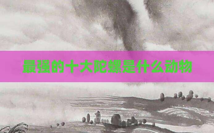 最强的十大陀螺是什么动物