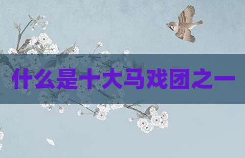 什么是十大马戏团之一