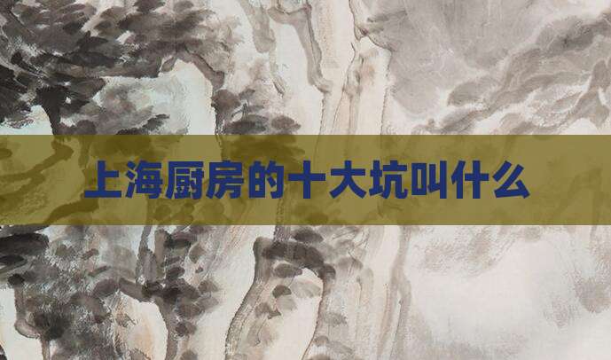 上海厨房的十大坑叫什么