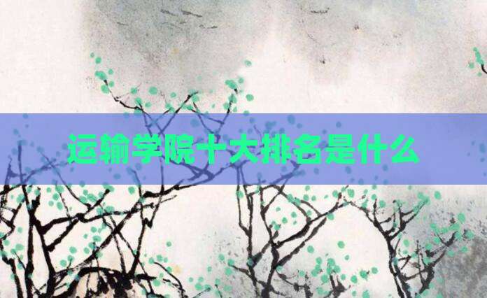 运输学院十大排名是什么