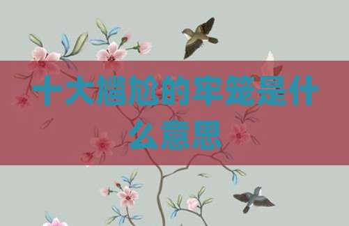 十大尴尬的牢笼是什么意思