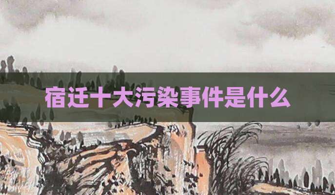 宿迁十大污染事件是什么