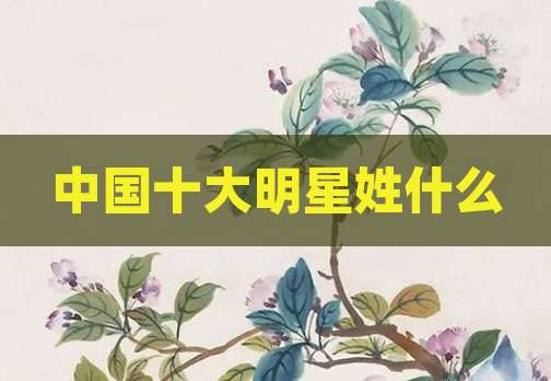 中国十大明星姓什么