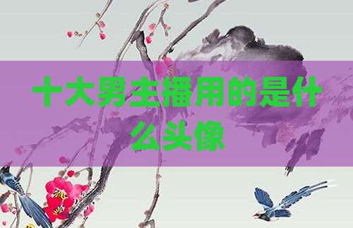 十大男主播用的是什么头像