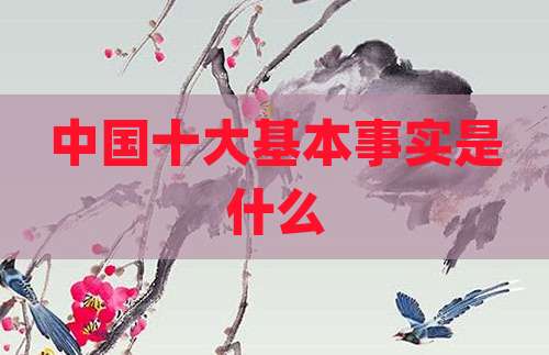 中国十大基本事实是什么