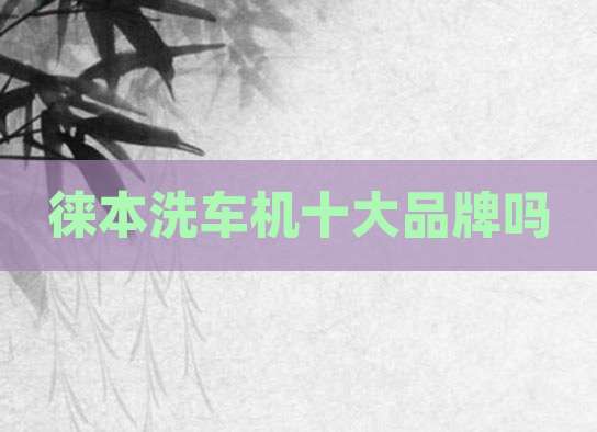 徕本洗车机十大品牌吗