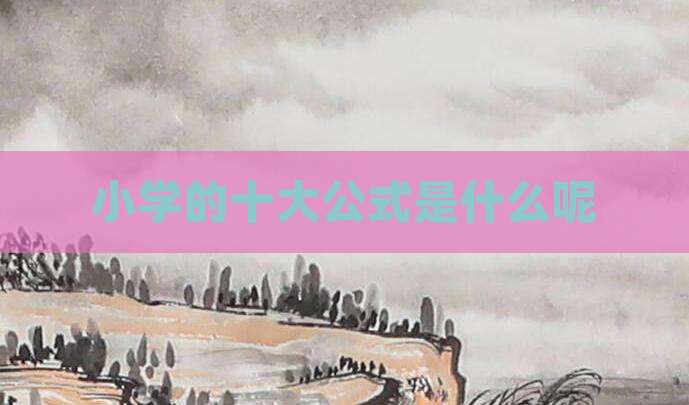 小学的十大公式是什么呢