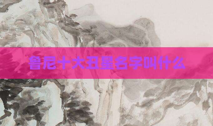 鲁尼十大丑星名字叫什么