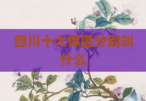 四川十大悍匪分别叫什么
