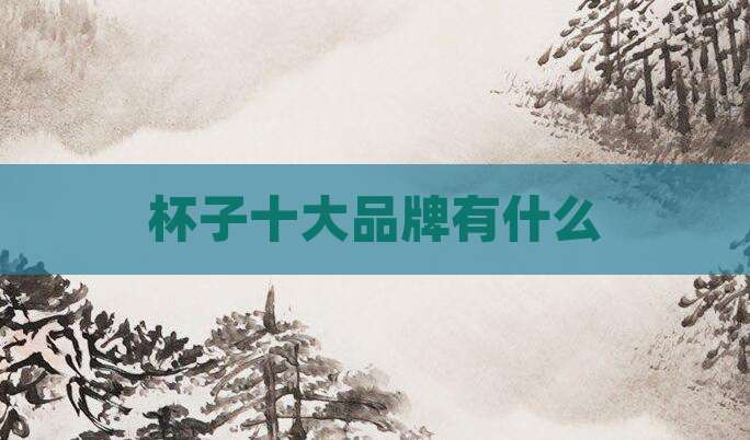 杯子十大品牌有什么