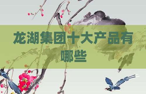 龙湖集团十大产品有哪些