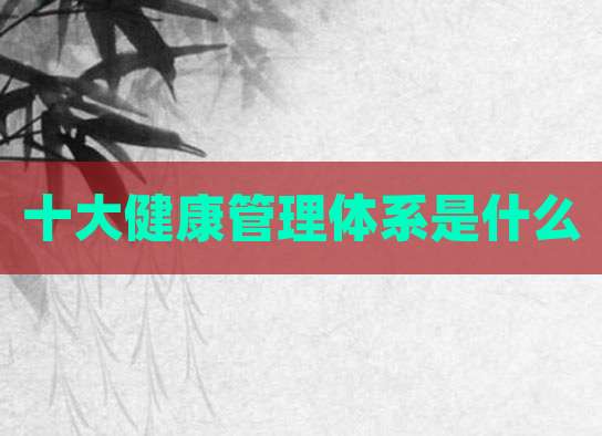十大健康管理体系是什么