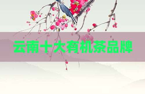 云南十大有机茶品牌