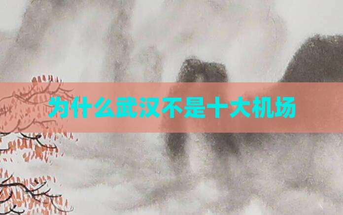 为什么武汉不是十大机场