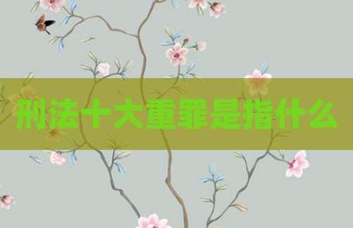 刑法十大重罪是指什么