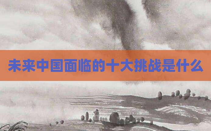 未来中国面临的十大挑战是什么