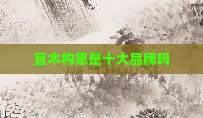 宜木构思是十大品牌吗