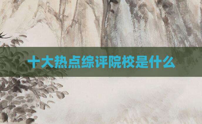 十大热点综评院校是什么