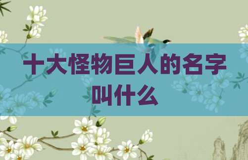 十大怪物巨人的名字叫什么