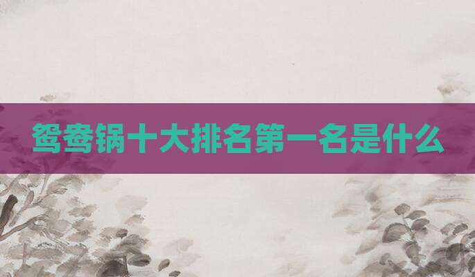 鸳鸯锅十大排名第一名是什么