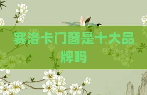 赛洛卡门窗是十大品牌吗