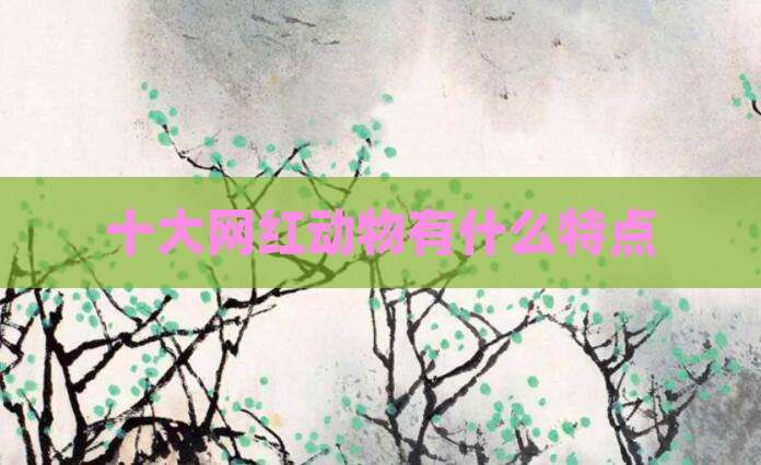 十大网红动物有什么特点