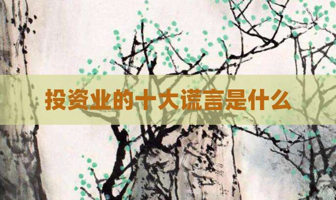 投资业的十大谎言是什么