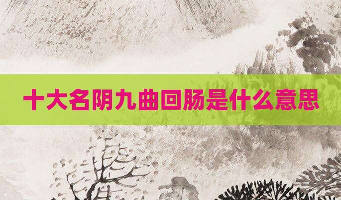 十大名阴九曲回肠是什么意思